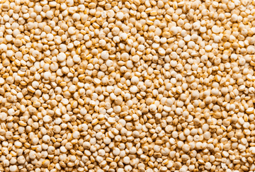 B vitamins – the invisible engines of our cells