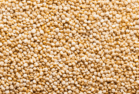 B vitamins – the invisible engines of our cells