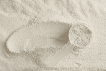 The role of collagen in the human body