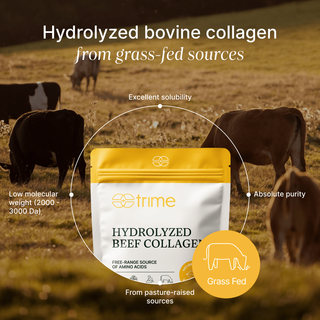 Collagene bovino idrolizzato