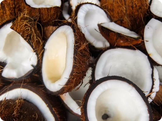Olio di cocco MCT biologico